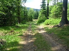 �ertova hora - trat�