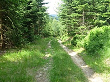 �ertova hora - trat�