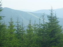 Lanovka - Celnice - pod Voseckou boudou - Krakono�ova sn�dan� - Mumlavsk� vodop�dy