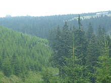 Lanovka - Celnice - pod Voseckou boudou - Krakono�ova sn�dan� - Mumlavsk� vodop�dy