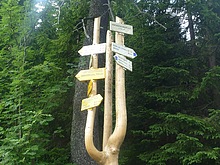 Lesn� z�ti�� - Kl�dov� cesta - Krakono�ova sn�dan� - Terex - Harrachov