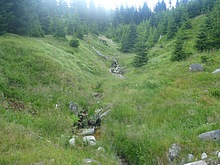 Lesn� z�ti�� - Kl�dov� cesta - Krakono�ova sn�dan� - Terex - Harrachov