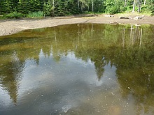 Okolo �ern�ho rybn�ka