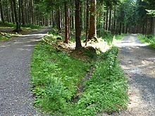 Okolo �ern�ho rybn�ka