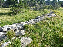 Horn� m�se�ky - Vrbatova bouda - Labsk� bouda - Dvora�ky - Harrachov