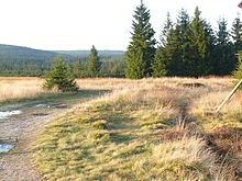 Par�dn� proj��ka Polskem