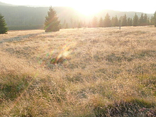 Par�dn� proj��ka Polskem